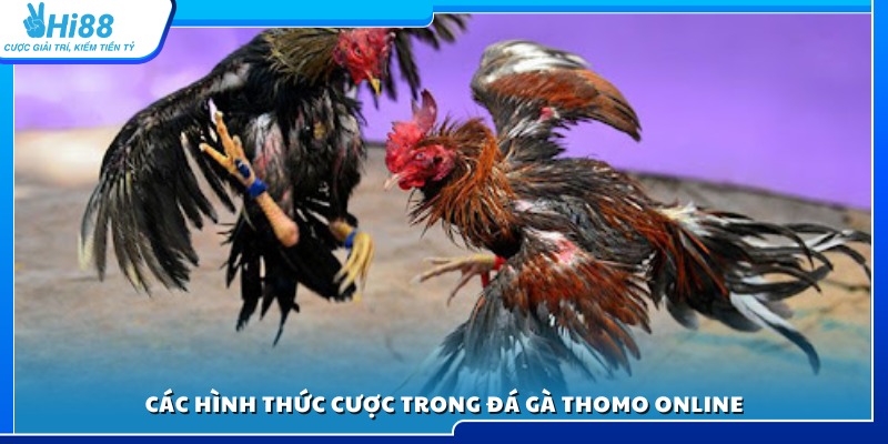 Những loại kèo phổ biến khi tham gia